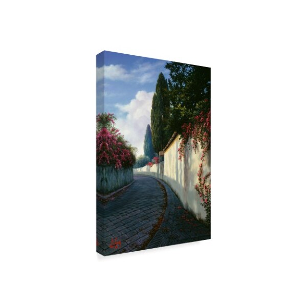 Anthony Casay 'Garden Wall' Canvas Art,30x47